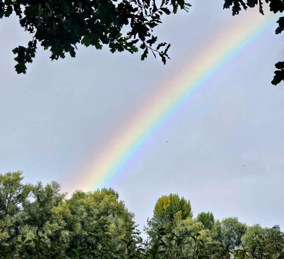 Colourful rainbow